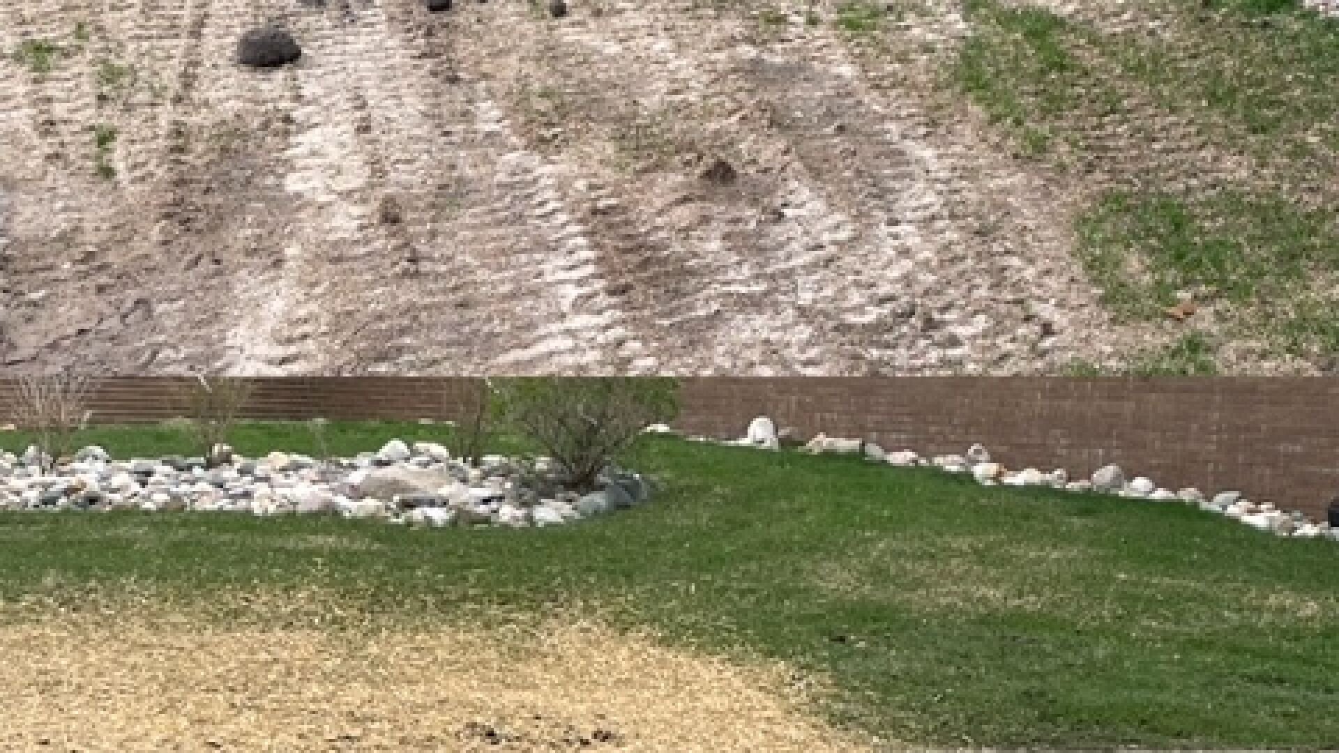 Property cleared and restored with rock-lined planter and fresh lawn