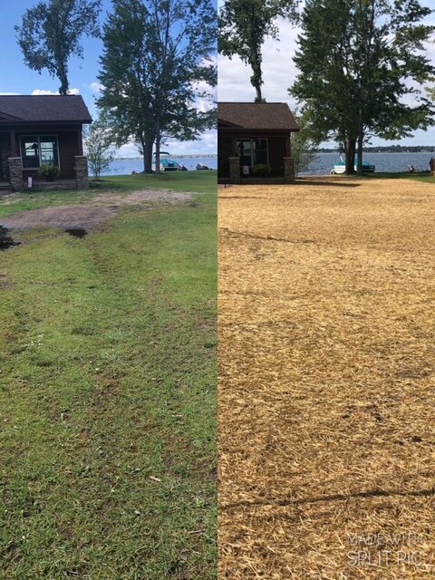 Before-and-after lawn restoration after septic installation at lake house
